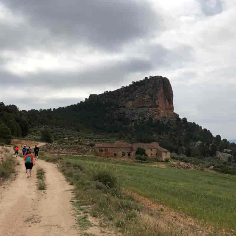 VIII Peñarrubia Trail
