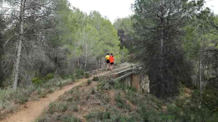 V Socovos Ibero Trail