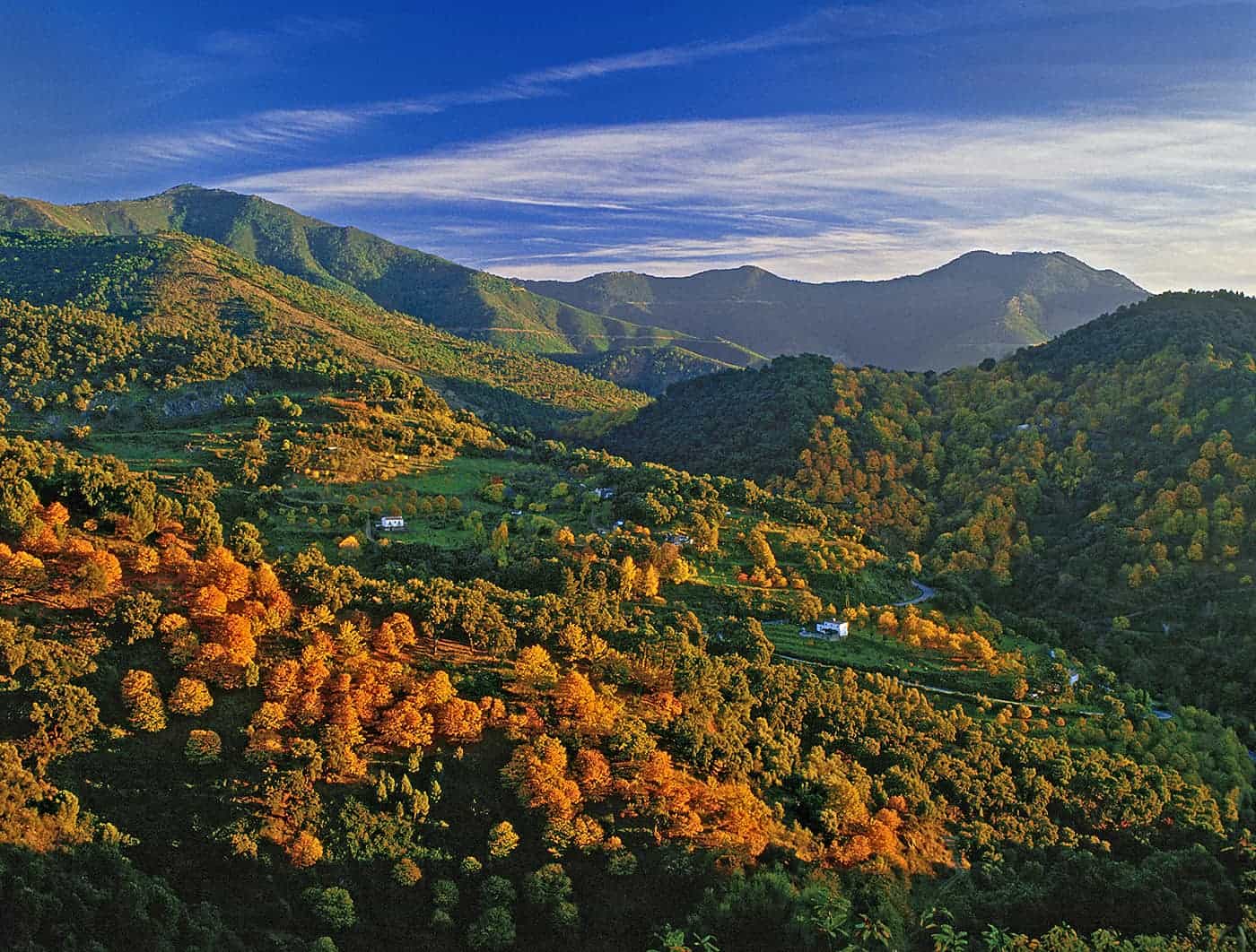 Gran Vuelta Valle del Genal 2024