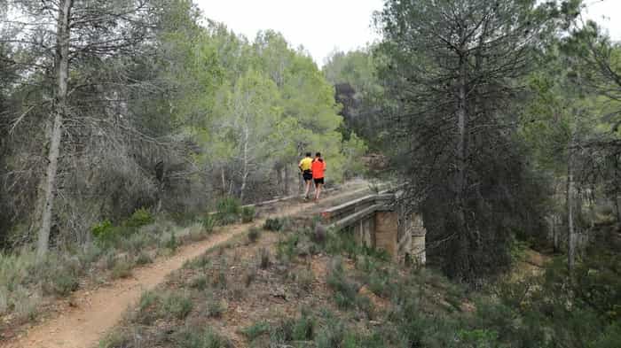 V Socovos Ibero Trail