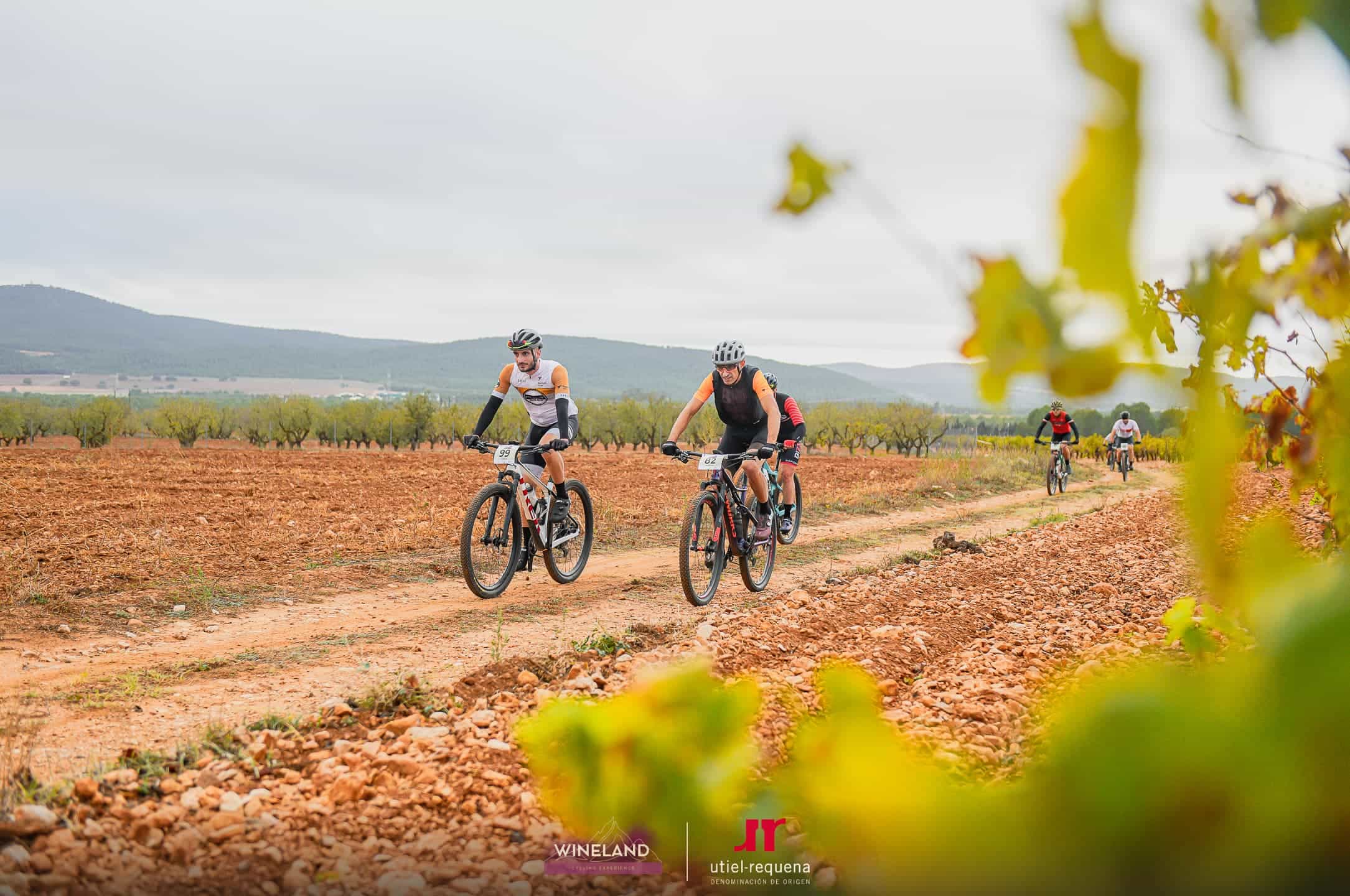 WineLand Cycling Experience 2024