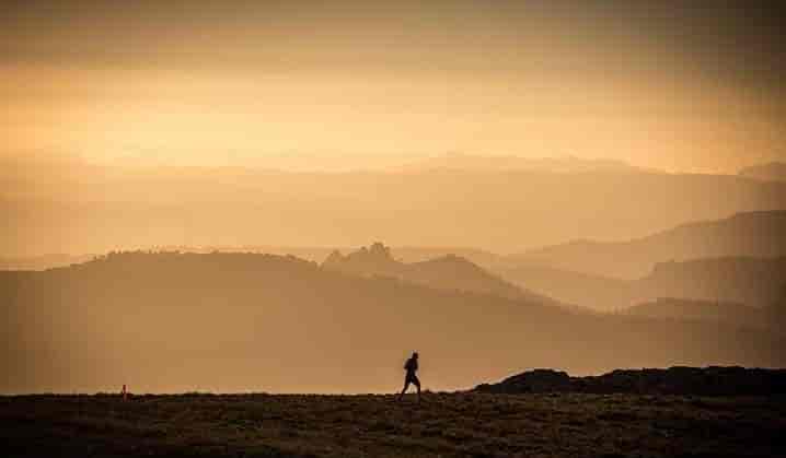 XI Territorio Mentiras 2025